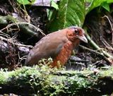 DSC_5865b.jpg