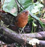 DSC_5884b.jpg