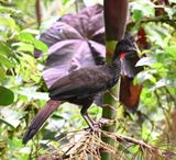 DSC_5888b.jpg