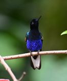 DSC_5968b.jpg
