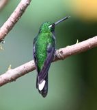DSC_5997b.jpg