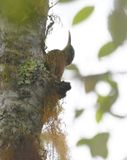 DSC_6018b.jpg