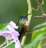 DSC_6028b.jpg
