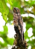DSC_6069b.jpg
