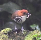 DSC_6093b.jpg