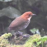 DSC_6094b.jpg