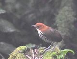 DSC_6110b.jpg
