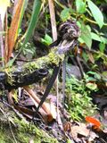DSC_6124b.jpg