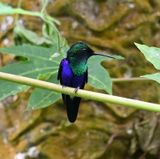 DSC_6174b.jpg