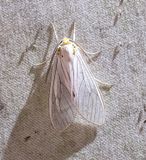 PXL_20240310_002008122bb.jpg