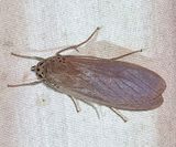 PXL_20240310_002109890b.jpg