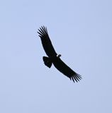DSC_6268b.jpg