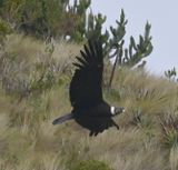 DSC_6329b.jpg