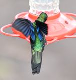 DSC_6440b.jpg
