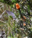 DSC_6473b.jpg