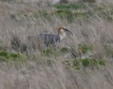 DSC_6827b.jpg