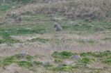 DSC_6879b.jpg