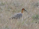 DSC_6891b.jpg