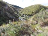 IMG_6149b.jpg