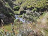 IMG_6150b.jpg