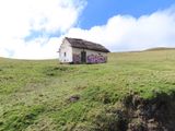 IMG_6157b.jpg