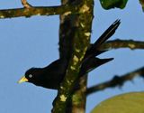 DSC_6918b.jpg