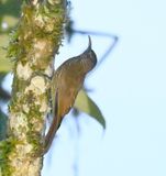 DSC_6949b.jpg