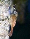 DSC_6955b.jpg