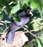 DSC_6963b.jpg