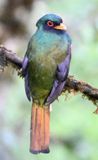 DSC_7010b.jpg