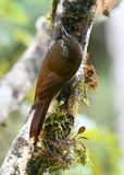 DSC_7027b.jpg