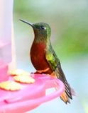 DSC_7045b.jpg