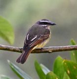 DSC_7050b.jpg