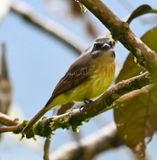 DSC_7052b.jpg