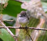 DSC_7146b.jpg