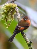DSC_7167b.jpg