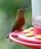 DSC_7183b.jpg