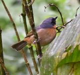DSC_7199b.jpg