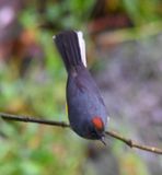 DSC_7204b.jpg
