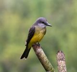 DSC_7215b.jpg