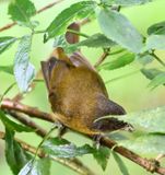 DSC_7274b.jpg