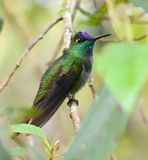 DSC_7290b.jpg