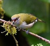 DSC_7309b.jpg