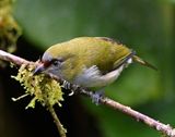 DSC_7312b.jpg