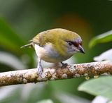 DSC_7353b.jpg