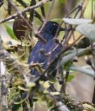 DSC_7390b.jpg
