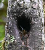DSC_7413b.jpg