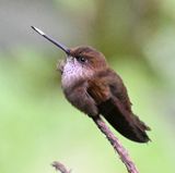 DSC_7496b.jpg