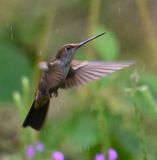 DSC_7575b.jpg