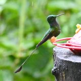 DSC_7588b.jpg